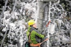 电网企业积极应对今冬首轮强降雪