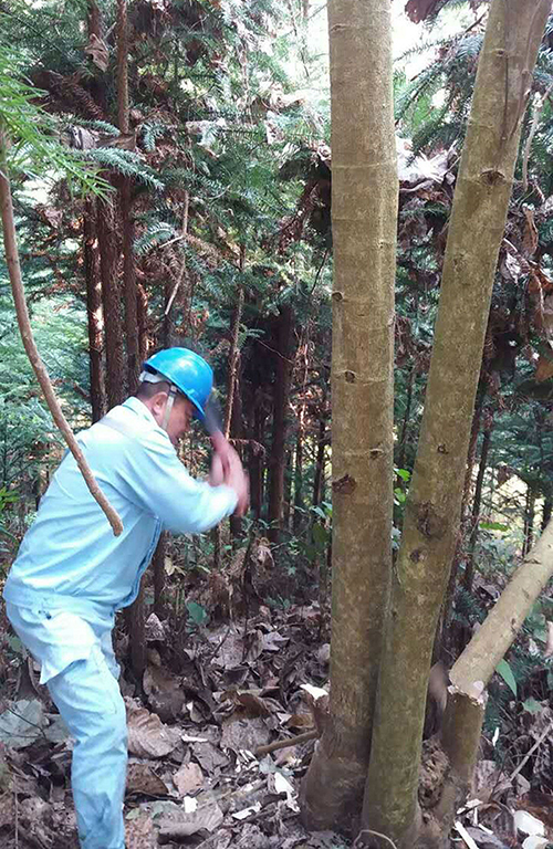 云南德宏风平供电所开展清除房屋安全隐患专项活动-bj