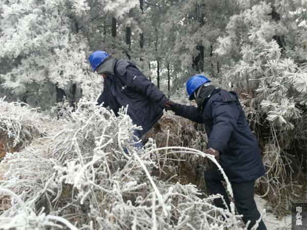 2月5日，罗平供电公司阿岗供电所杨光辉、太永胜在前往阿岗镇洒谷村处理线路安全隐患的途中，因为路面难行，只能互相搀扶前进。张黎明摄2