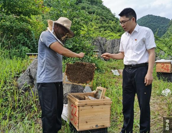 严召波与“断指”养蜂人张小强交谈养蜂情况。（谭镇林 摄）