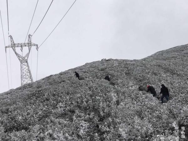 宣威革香河公司组织员工对发电厂供出线路进行巡视。（徐瑞 摄）_副本