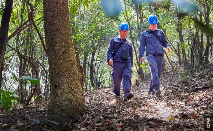 4 翻山越岭、跋涉丛林，是刘林工作的日常 （曲靖供电局输电管理所供图）