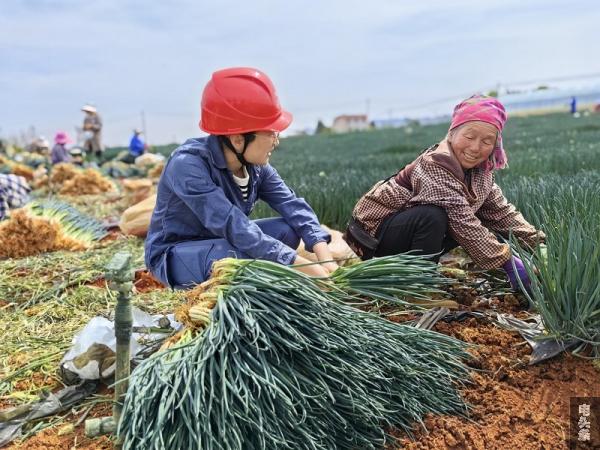 向村民了解务工情况。朱小秀摄