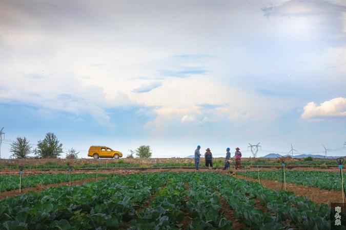 4、干旱季节，供电所员工奔忙于马龙区蔬菜种植点，进行客户走访和线路运维