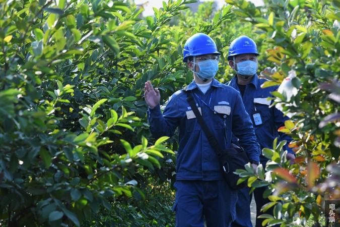 在农业生产的乡镇，南方广东汕头澄海供电局辖区各供电所主动对接农排用电客户，为农户解决农耕生产中的用电需求，切实助力保障疫情期间辖区农耕种植如期开展和蔬菜瓜果正常供应。1（摄影：潘军）