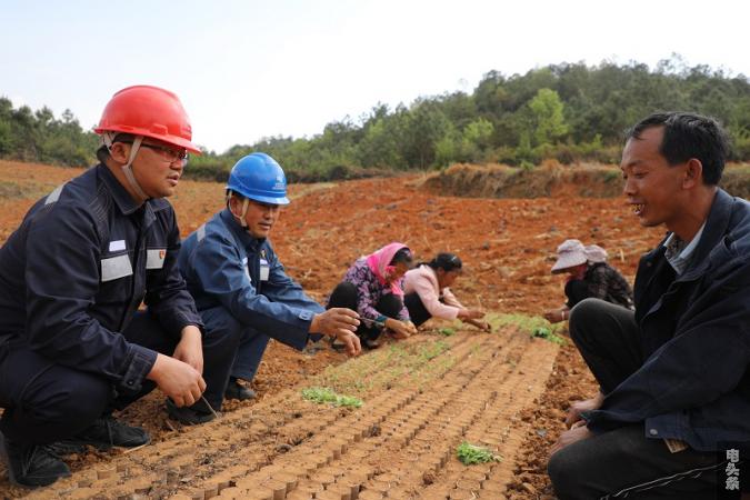 供电所员工向种植户了解用电需求。（杜明彦 摄）