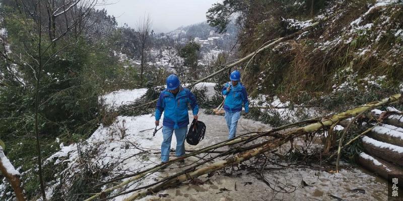 雪后树木倒落在抢修路上，供电人员小心避过。刘学云摄