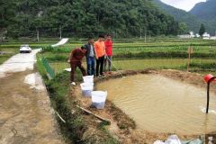 稻鱼养殖助推南方电网贵州都匀贵定供电局驻村扶贫产业兴旺