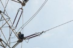 南方电网广西梧州供电局做好电力配套服务 全力护航“产业兴市”