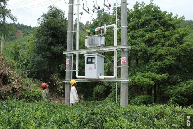 南方电网广西苍梧公司：电网改造给力 茶乡飞出“幸福歌”