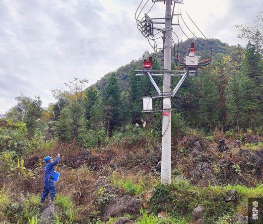 配网线路测温（李华 摄）