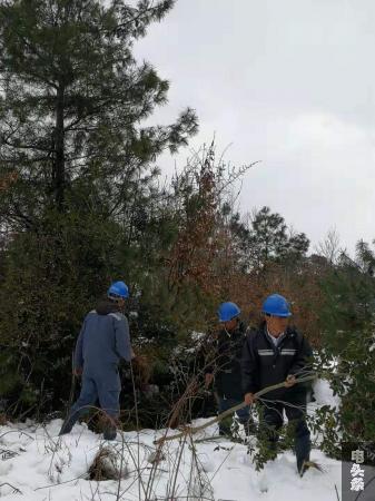 活水运维班清除线路线路下方断裂的树枝