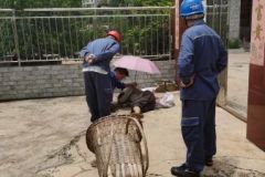 满满正能量 电力员工救助受伤路人获赞