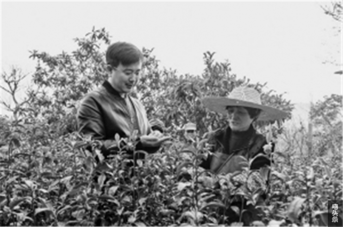 杨建华（左）向茶农了解春茶生产采摘情况。谢鹏 摄