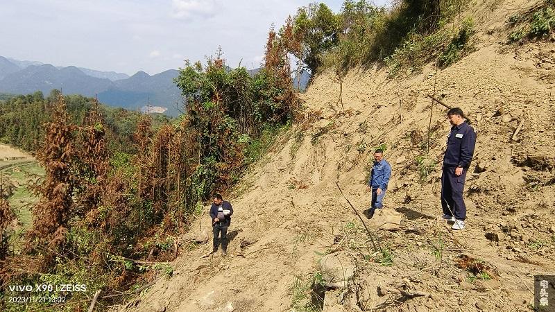 驻村工作人员对板栗种植基地实地勘察 (刘学云 摄)