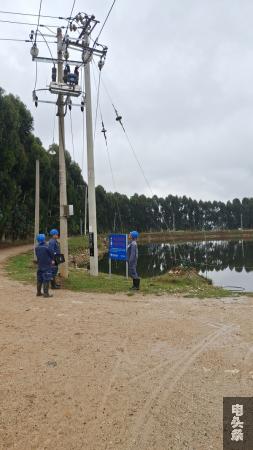 工作人员对一处池塘边缘的杆塔进行检查