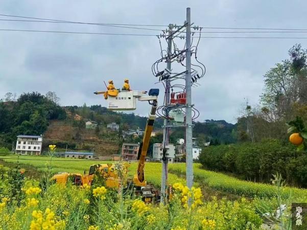 2月27日南方电网曲靖师宗供电局采用带电解搭头方式顺利完成位于五龙乡狗街村委会路稠村的10千伏南丹山线41号杆智能断路器方向调整工作，有效恢复该断路器自愈功能。图为作业人员升斗准备开展带电解头作业。（潘江朝 摄）