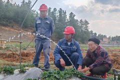 南方电网云南曲靖会泽供电局：优质电给草莓灌溉送来“及时雨”