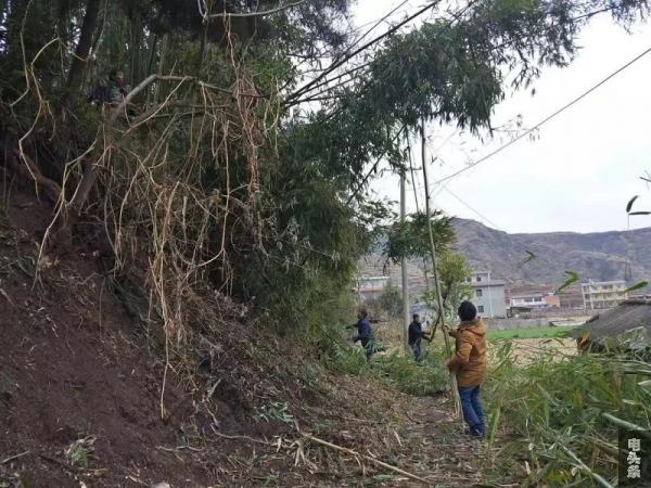 村委会自发组织村民帮忙清理树障，助理电网快速消缺通电