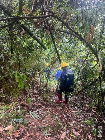 岑溪供电公司糯垌供电所组织抢修人员冒雨对糯垌线上山塘支线进行特巡。