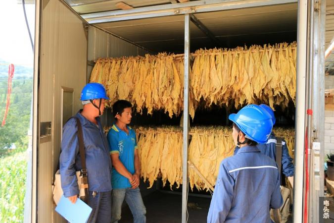 深入烟叶集中种植区进行实地走访，与种植户面对面交流，了解他们的用电需求和遇到的问题。