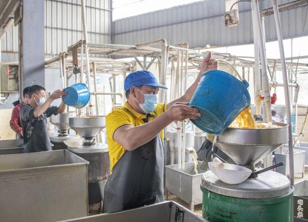 7、2022年3月1日，在广西梧州市苍梧县京南镇梧州市恒润食品腐竹厂生产车间内，工人忙着磨豆。（何华文）