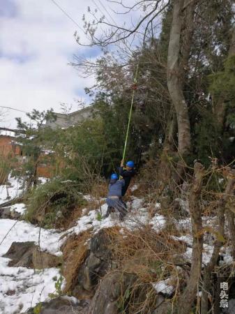 两名工作人员合力清除线路下方的树枝