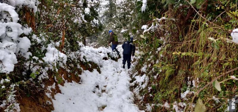 巡线人员在雪后的山路上小心行走。杨鹏摄